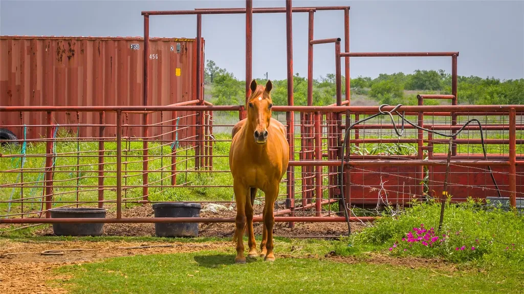 19815 Farm To Market 500 Richland Springs TX 76871