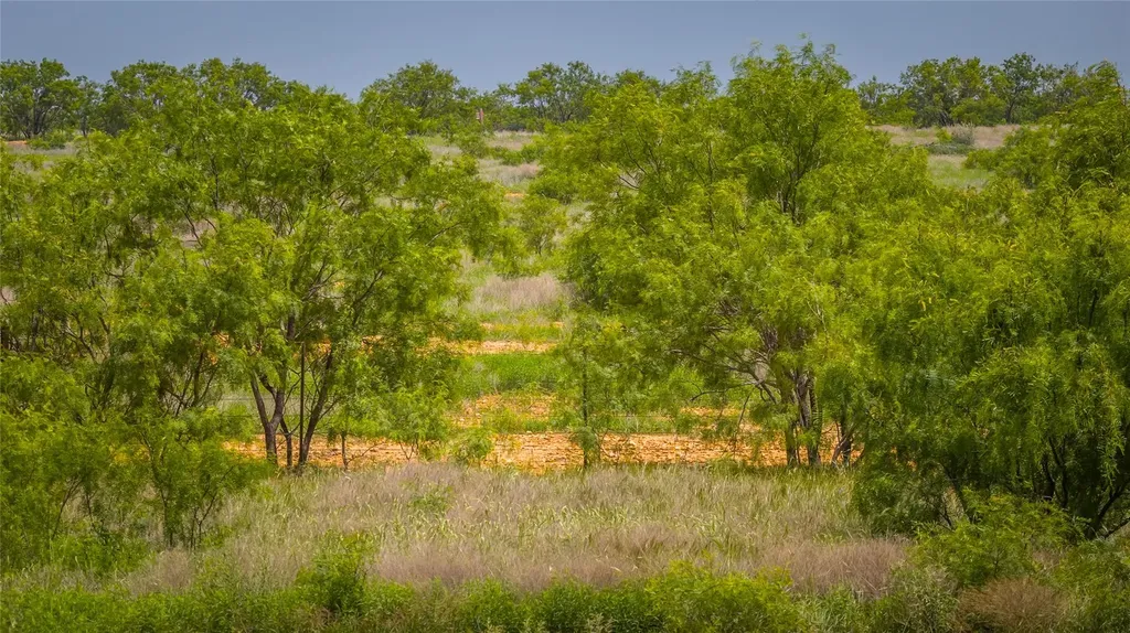 19815 Farm To Market 500 Richland Springs TX 76871