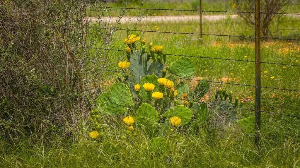 19815 Farm To Market 500 Richland Springs TX 76871