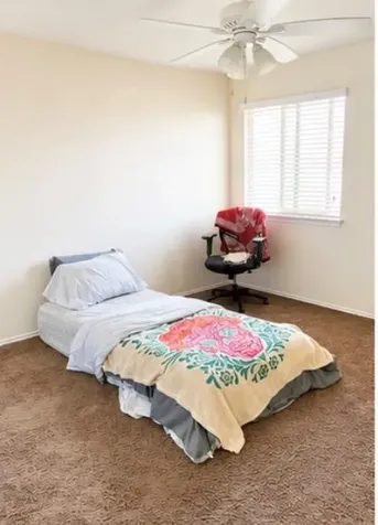 243 Druse Lane Jarrell TX 76537