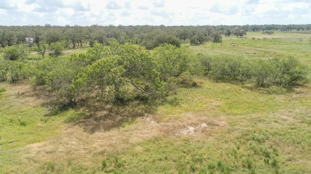 1140 Chalk Road Harwood TX 78632