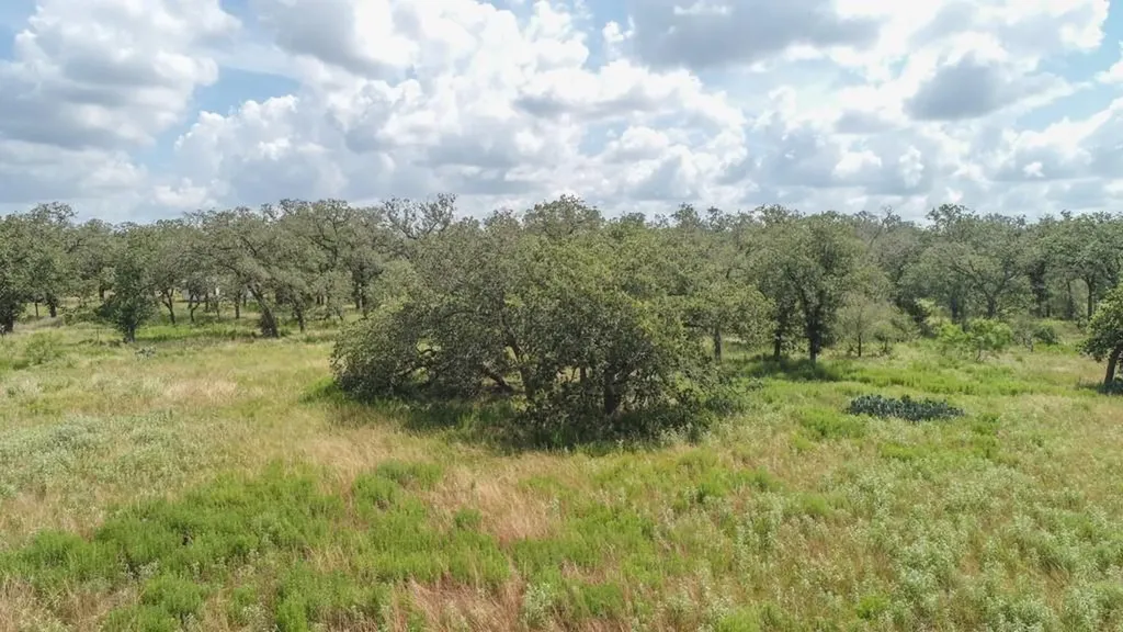 1140 Chalk Road Harwood TX 78632