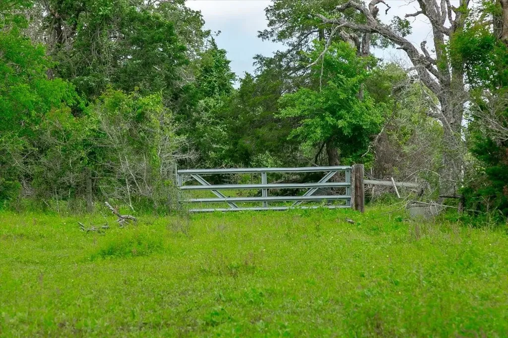 1890 Sandy Fork Road Harwood TX 78632