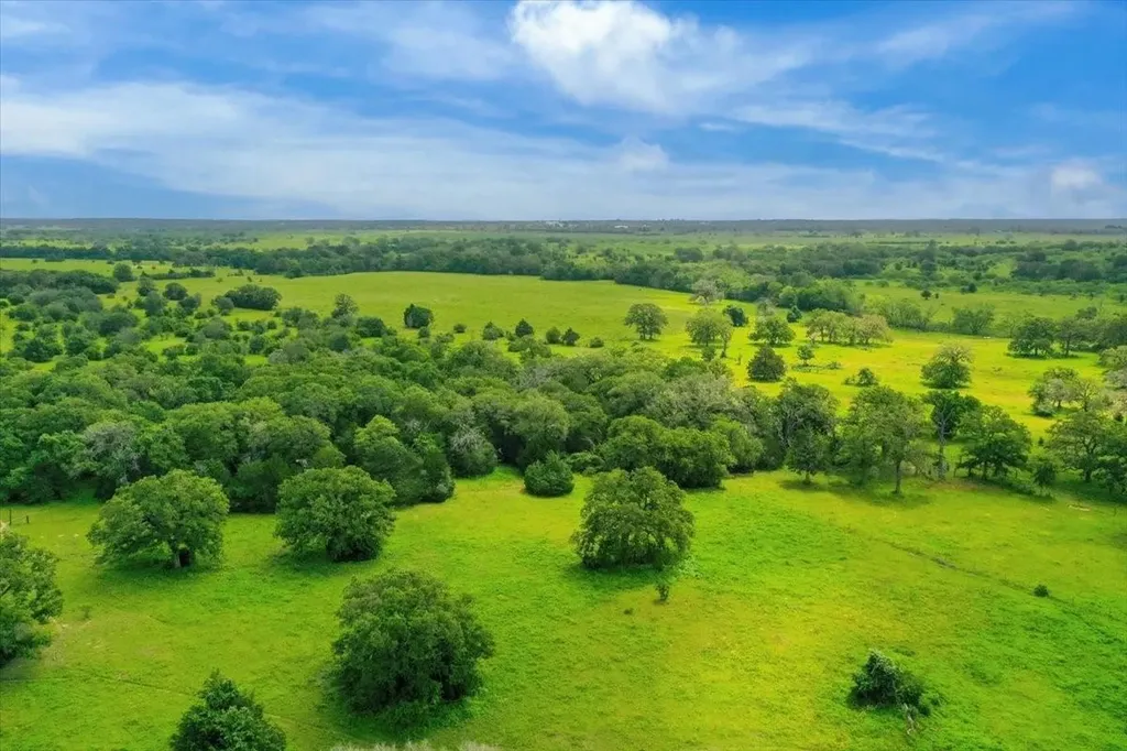 1890 Sandy Fork Road Harwood TX 78632