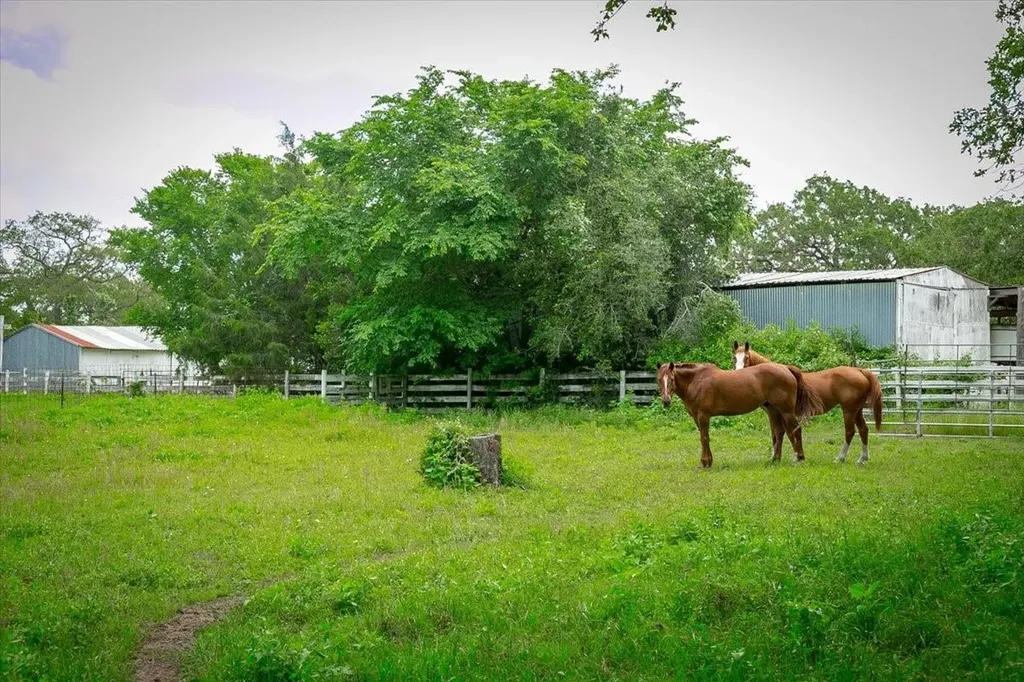 1890 Sandy Fork Road Harwood TX 78632