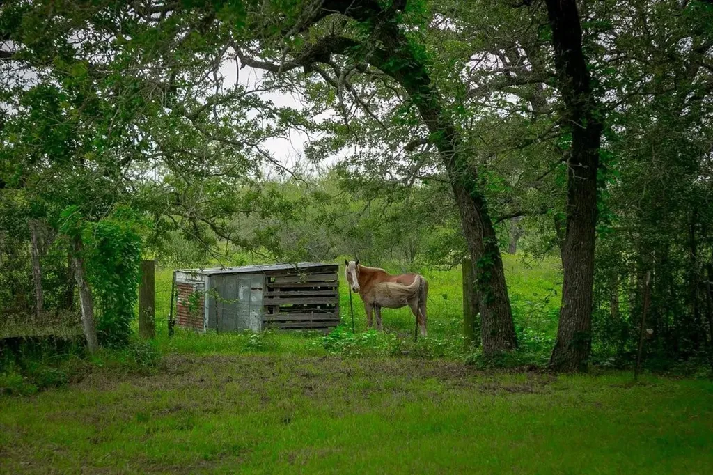 1890 Sandy Fork Road Harwood TX 78632