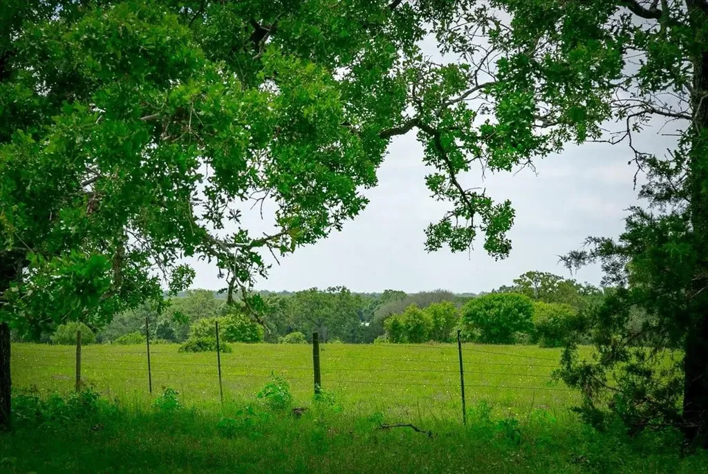 1890 Sandy Fork Road Harwood TX 78632