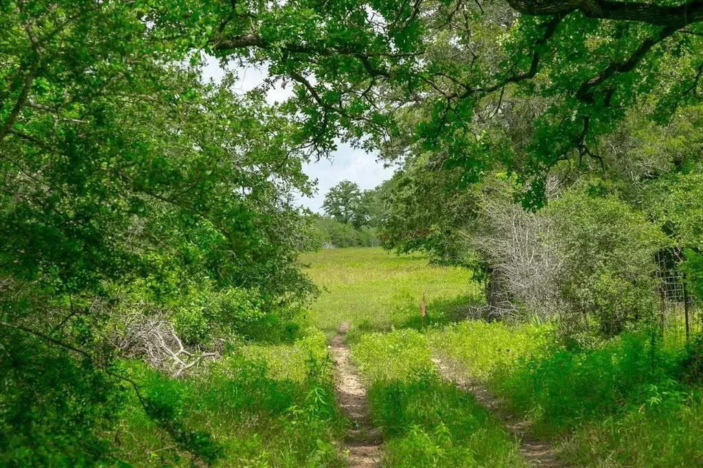 1890 Sandy Fork Road Harwood TX 78632