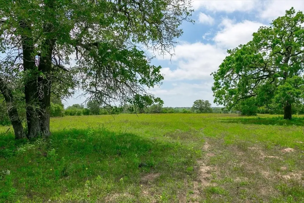 1890 Sandy Fork Road Harwood TX 78632