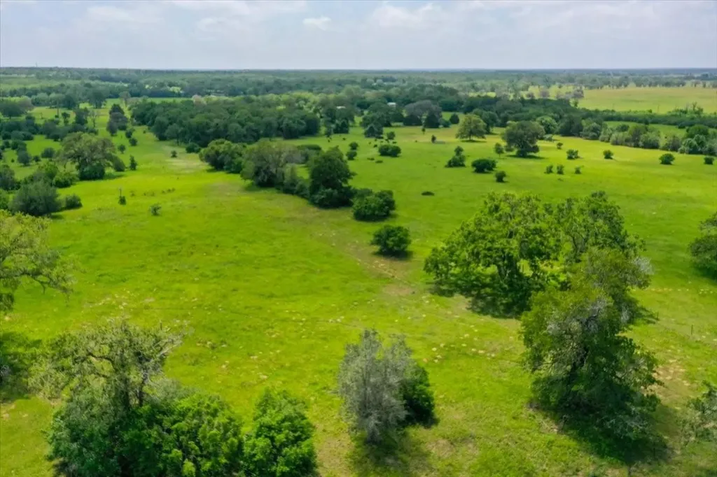 1890 Sandy Fork Road Harwood TX 78632