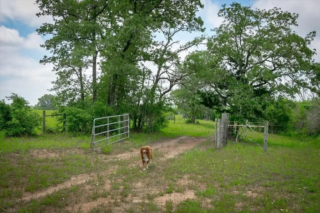 1890 Sandy Fork Road Harwood TX 78632