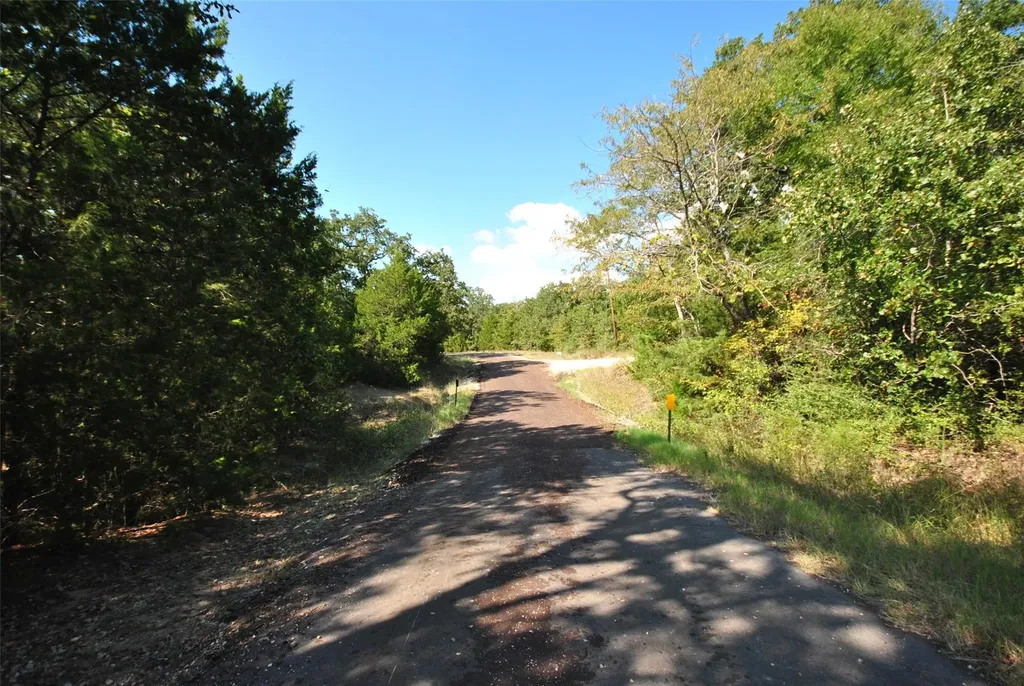 Lot 77 Lcr 894 Jewett TX 75846