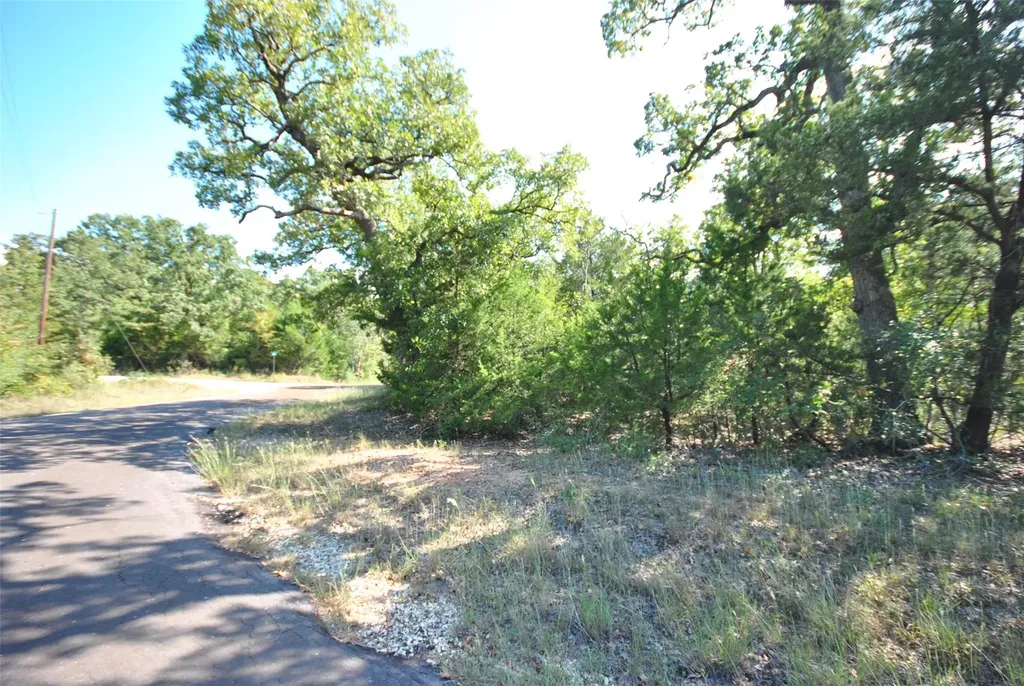 Lot 77 Lcr 894 Jewett TX 75846