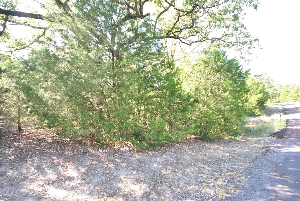 Lot 77 Lcr 894 Jewett TX 75846