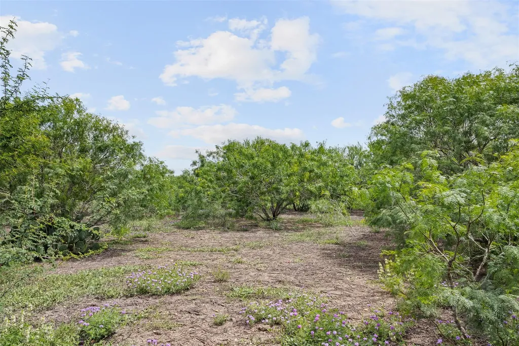 3315 Dry Creek Road Lockhart TX 78644