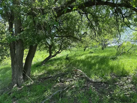 8500 N Fork Road Bartlett TX 76511