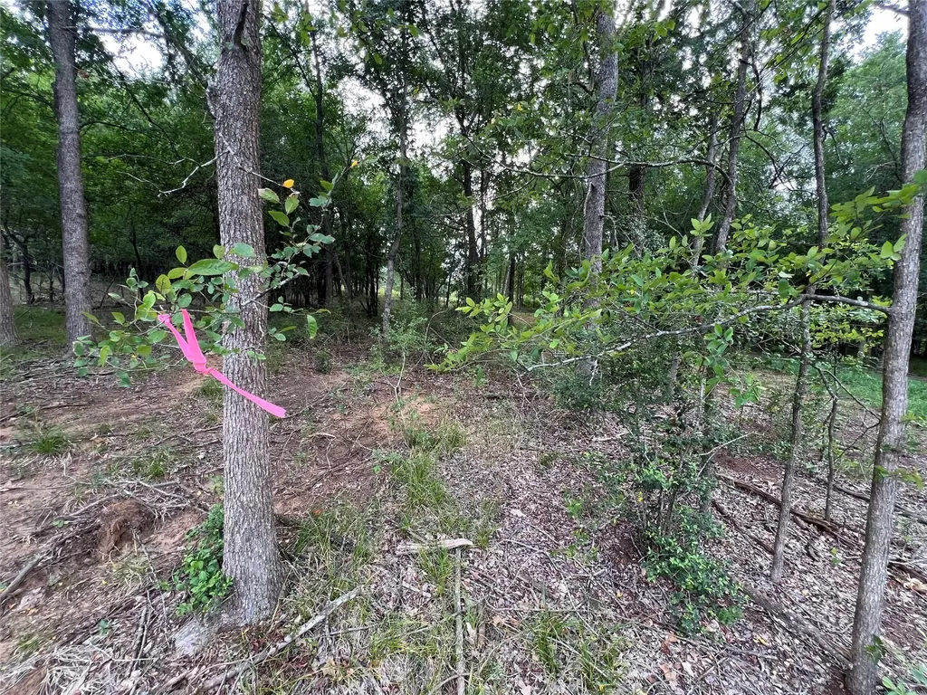 Tbd Fm 3000 Tract 1 Elgin TX 78621