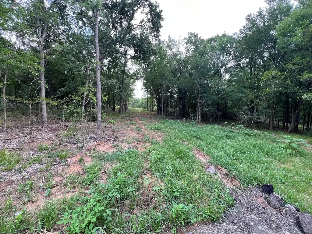 Tbd Fm 3000 Tract 1 Elgin TX 78621