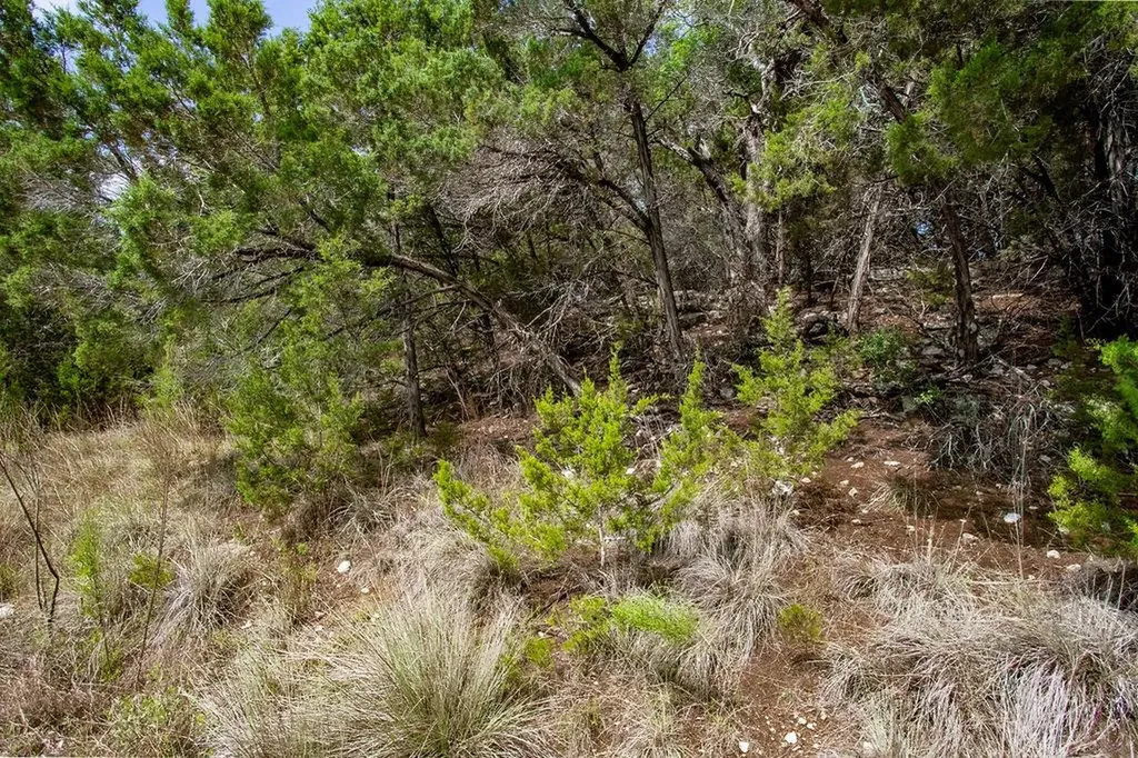 1306 Daviot Drive Spicewood TX 78669
