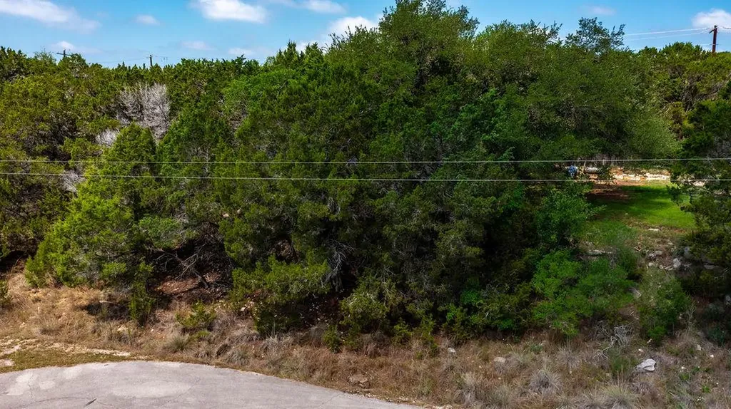 1306 Daviot Drive Spicewood TX 78669