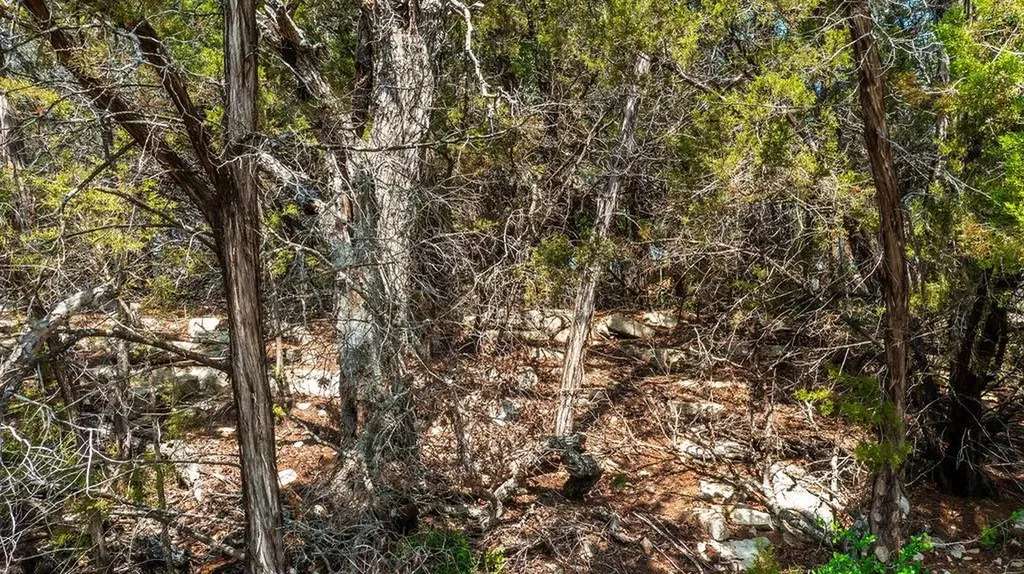 1306 Daviot Drive Spicewood TX 78669