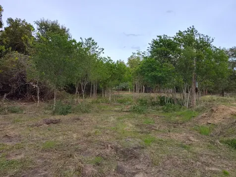 206 W Roberts Avenue Rockdale TX 76567