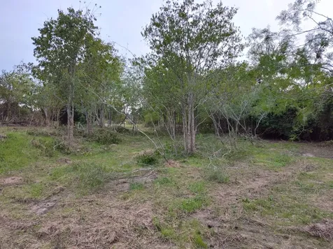206 W Roberts Avenue Rockdale TX 76567