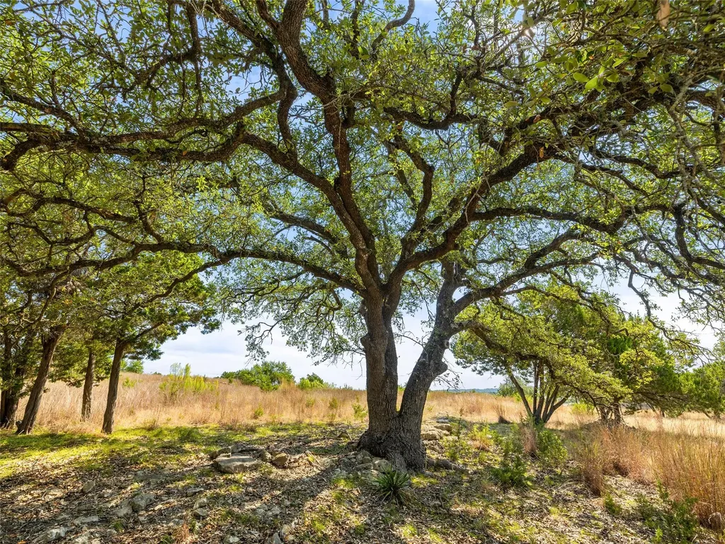 5818 Ranch Road 165 Blanco TX 78606