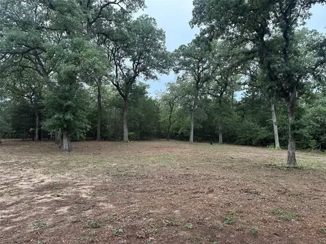 1053 E County Road F Lexington TX 78947