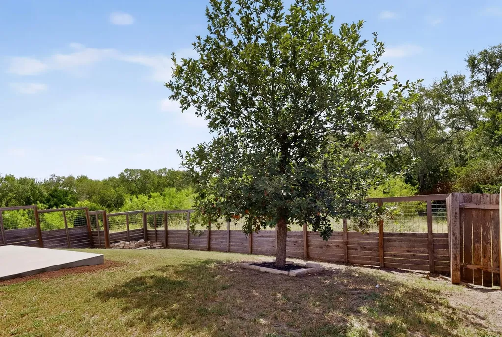 10029 Dalliance Lane Manor TX 78653