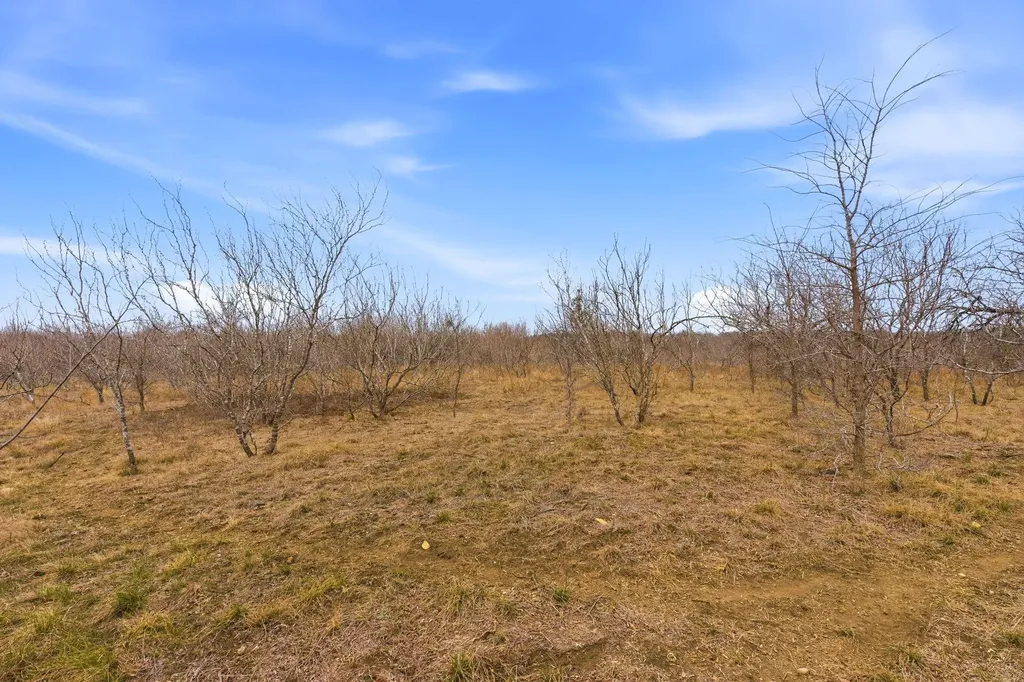 13802 Hokanson Road Del Valle TX 78617
