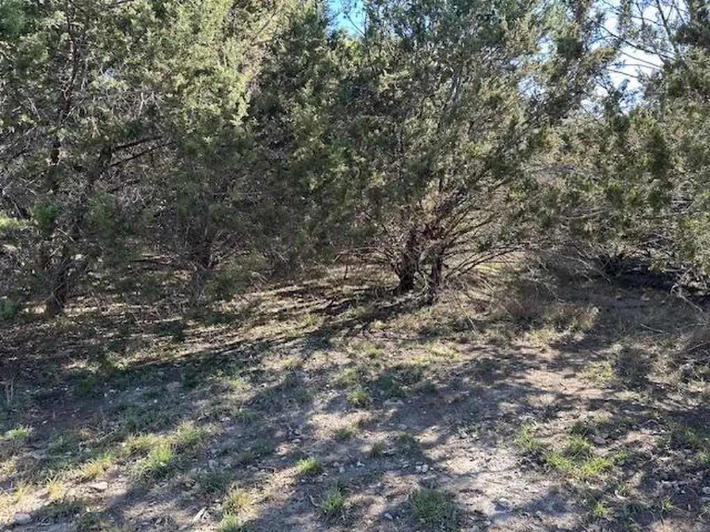 20607 High Drive Lago Vista TX 78645