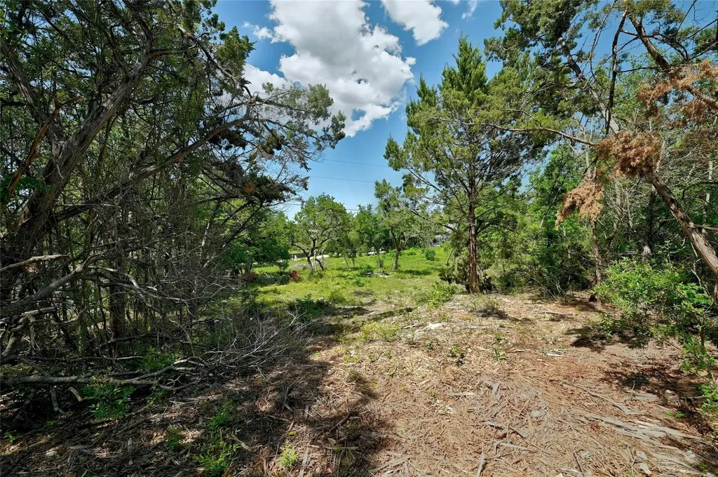 17168 Rocky Ridge Road Austin TX 78734