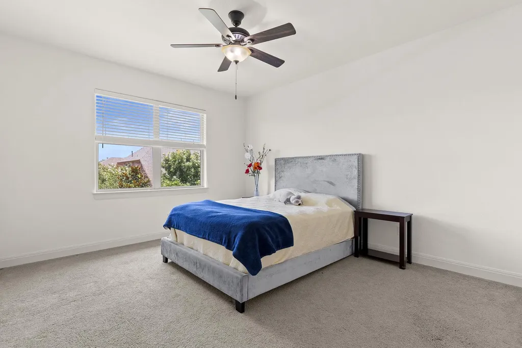 2628 Dalea Street Round Rock TX 78681
