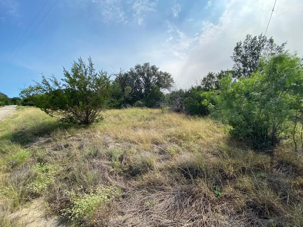 Lot 32 Pedernales Oaks Drive Johnson City TX 76636
