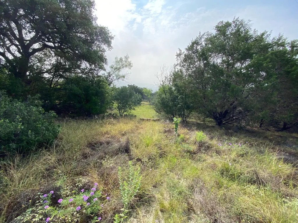 Lot 32 Pedernales Oaks Drive Johnson City TX 76636
