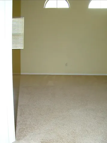 3101 Cutaway Cove Round Rock TX 78681