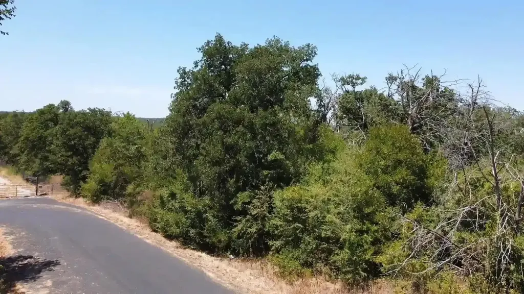 20900 Trappers Trail Manor TX 78653