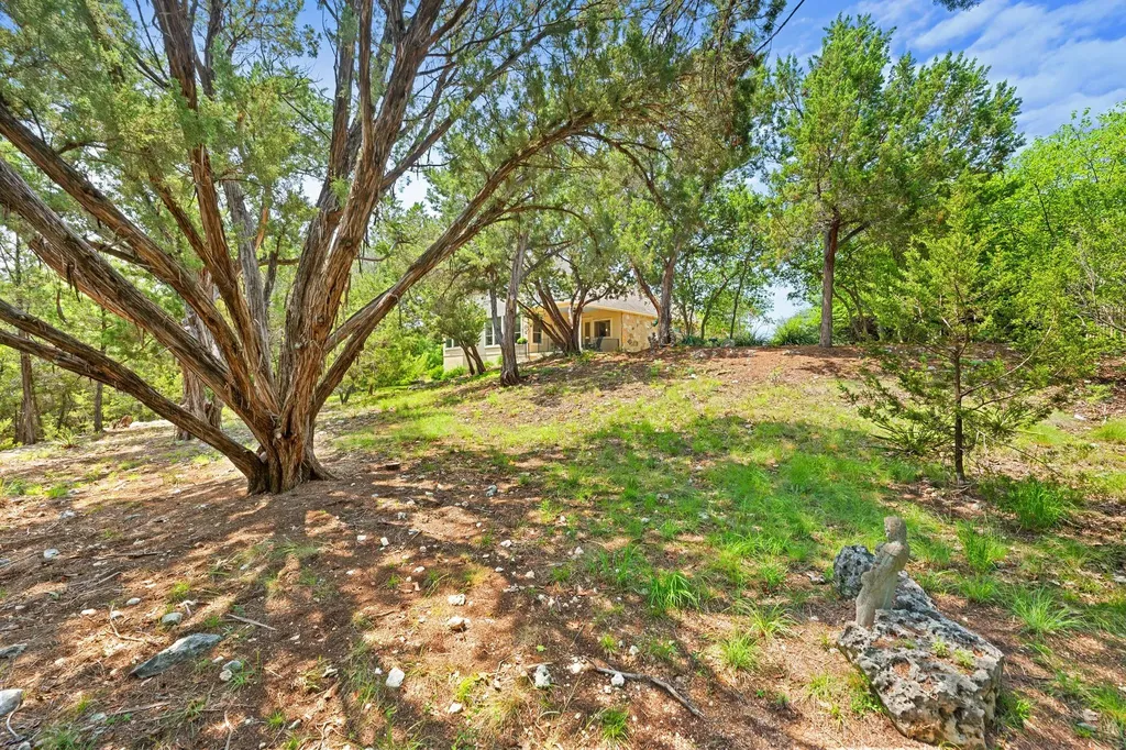 219 Grant Cannon Lane Austin TX 78738