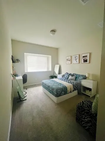 144 Falkland Street Hutto TX 78634