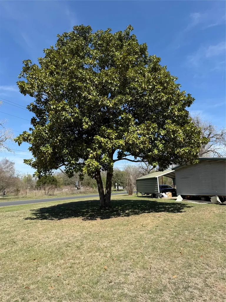1603 Man O War Drive Del Valle TX 78617
