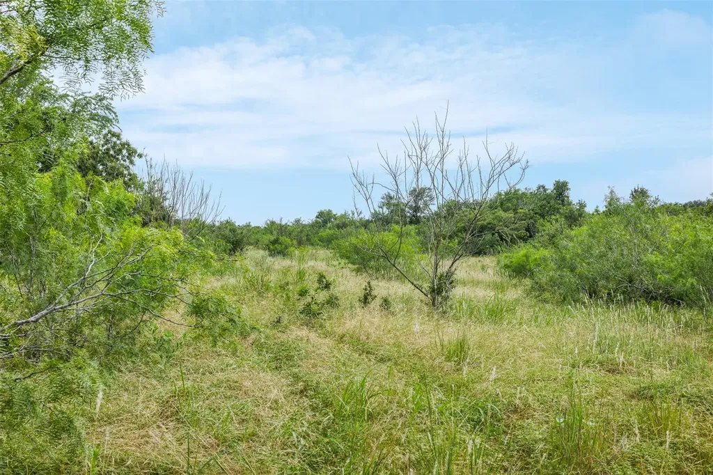 21814 Hogeye Road Manor TX 78653