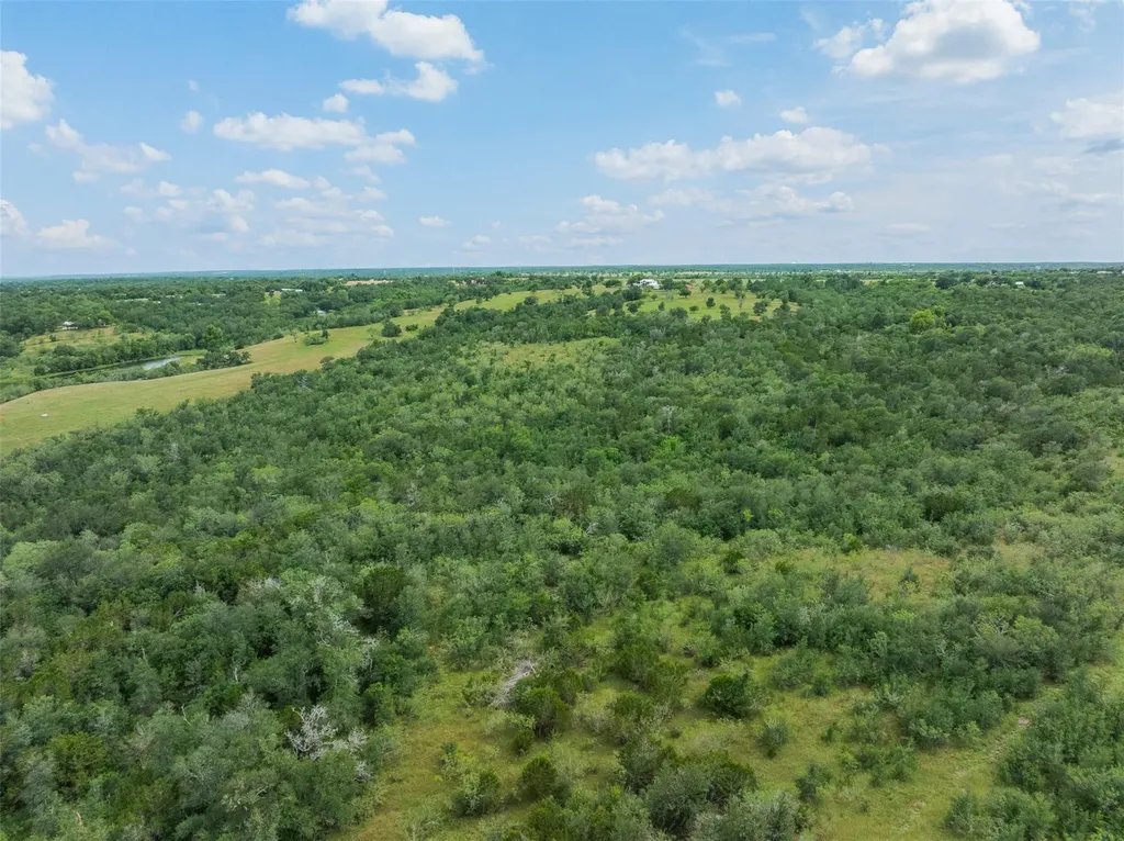 21814 Hogeye Road Manor TX 78653