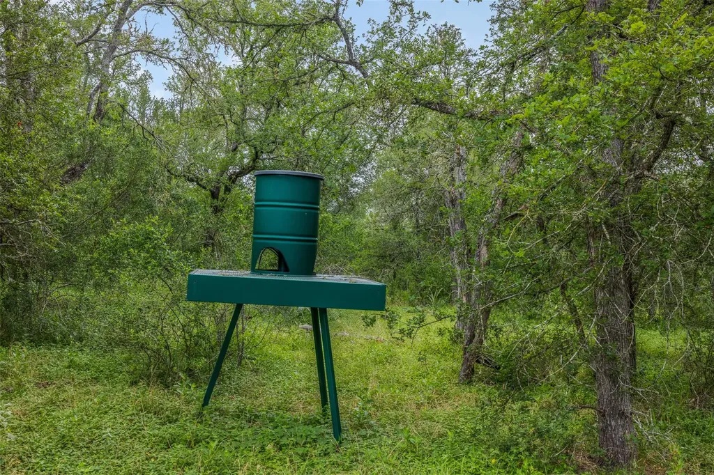 21814 Hogeye Road Manor TX 78653