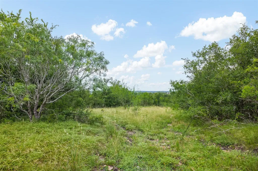 21814 Hogeye Road Manor TX 78653