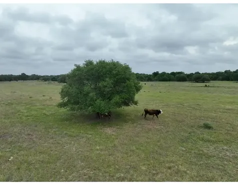 Lot 4 Tbd Cr 127 Road Ledbetter TX 78946