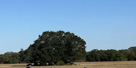 Lot 4 Tbd Cr 127 Road Ledbetter TX 78946