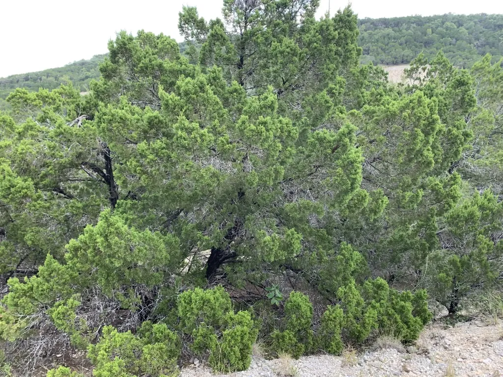 8607 Teton Pass Lago Vista TX 78645
