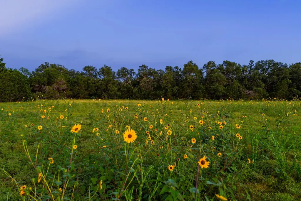 2055 County Road 284 Liberty Hill TX 78642