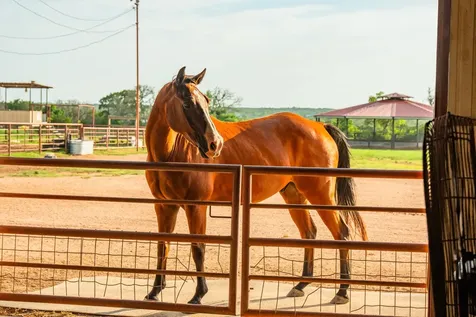 2055 County Road 284 Liberty Hill TX 78642